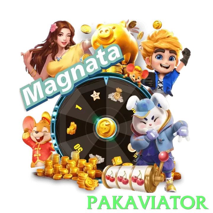 pakaviator App - 5